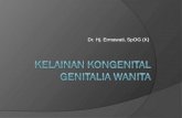 Kelainan Kongenital  Genitalia  Wanita