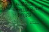 ANALISIS EKONOMI INVESTASI PERKEBUNAN KELAPA SAWIT DI INDONESIA
