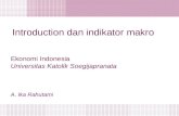 Introduction dan indikator makro