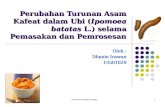 Perubahan Turunan Asam Kafeat dalam Ubi ( Ipomoea batatas  L.) selama Pemasakan dan Pemrosesan