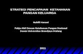 Nuhfil Hanani Pokja Ahli Dewan Ketahanan Pangan Nasional Dosen Universitas Brawijaya  Malang
