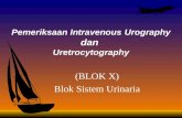 Pemeriksaan Intravenous Urography  dan  Uretrocytography