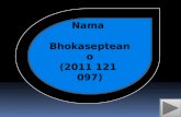 Nama   Bhokasepteano (201 1  121   097 )
