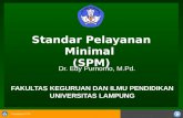 Standar Pelayanan Minimal  (SPM)