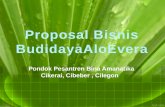 Proposal Bisnis Budidaya A loEvera