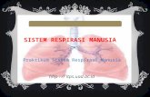 SISTEM RESPIRASI MANUSIA  Praktikum Sistem Respirasi Manusia http : // ltps.uad.ac.id