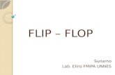FLIP – FLOP