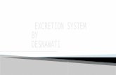EXCRETION SYSTEM BY DESNAWATI