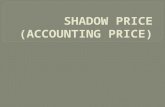SHADOW PRICE (ACCOUNTING PRICE)