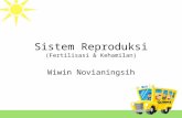 Sistem Reproduksi (Fertilisasi & Kehamilan)