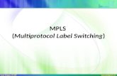 MPLS  ( Multiprotocol Label Switching )