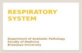 RESPIRATORY  SYSTEM Department of Anatomic Pathology Faculty of Medicine Brawijaya  University