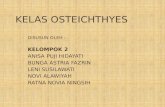 KELAS OSTEICHTHYES