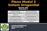 Pleno Modul  2 Sistem  Urogenital