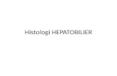 Histologi HEPATOBILIER