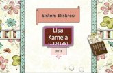 Lisa  Karnela (13041 38 )