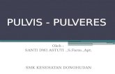 PULVIS  -  PULVERES