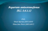 Aspartate aminotransferase (EC. 2.6.1.1)