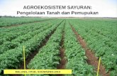AGROEKOSISTEM SAYURAN: Pengelolaan  Tanah  dan Pemupukan