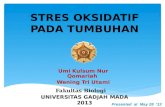 STRES OKSIDATIF PADA TUMBUHAN