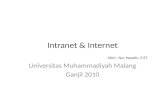 Intranet & Internet
