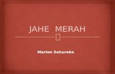 JAHE  MERAH