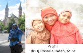 Profil  dr.Hj.Rosaria  Indah, M.Sc