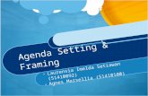 Agenda Setting & Framing