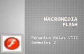 Macromedia  FLASH