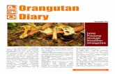Orangutan Diary Edisi Desember 2011