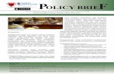 Policy Brief II:Peran DPR & Fungsi Pemerintah untuk Memastikan Integrasi HAM  dalam Penegakan Hukum