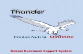 Thunder_Produk_Amezcua_ QInfinite_2012