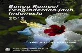 Bunga Rampai Penginderaan Jauh Indonesia Edisi-2