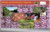 Profil Klaster Jawa Tengah