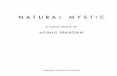 " Natural Mystic ", a solo show by Agung Prabowo