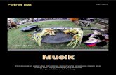 Potret Bali - Musik