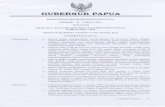 Perda prov papua no 23 tahun 2013 tentang rtrw prov papua