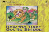 How the tiger got its stripes