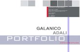 Galanico's portfolio