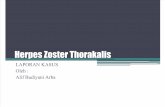 Herpes Zoster Thorakalis 2