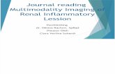jurnal radiologi multimodality in renal infectious disease
