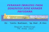 Imaging Mamae, Dr Yanto
