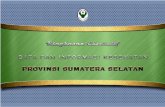 Data Informasi Kesehatan Sumatera Selatan