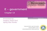 E - Government