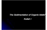 1. the Sedimentation of Organic Matter