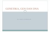 GEN DAN DNA