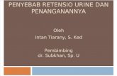 Penyebab Retensio Urine Dan Penanganannya