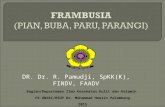 It 10 - (Rdn) Frambusia