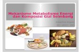 Blok 11 - Mekanisme Metabolisme Energi Dan Komposisi Gizi Seimbang