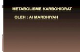 Metabolisme KH (ok).ppt